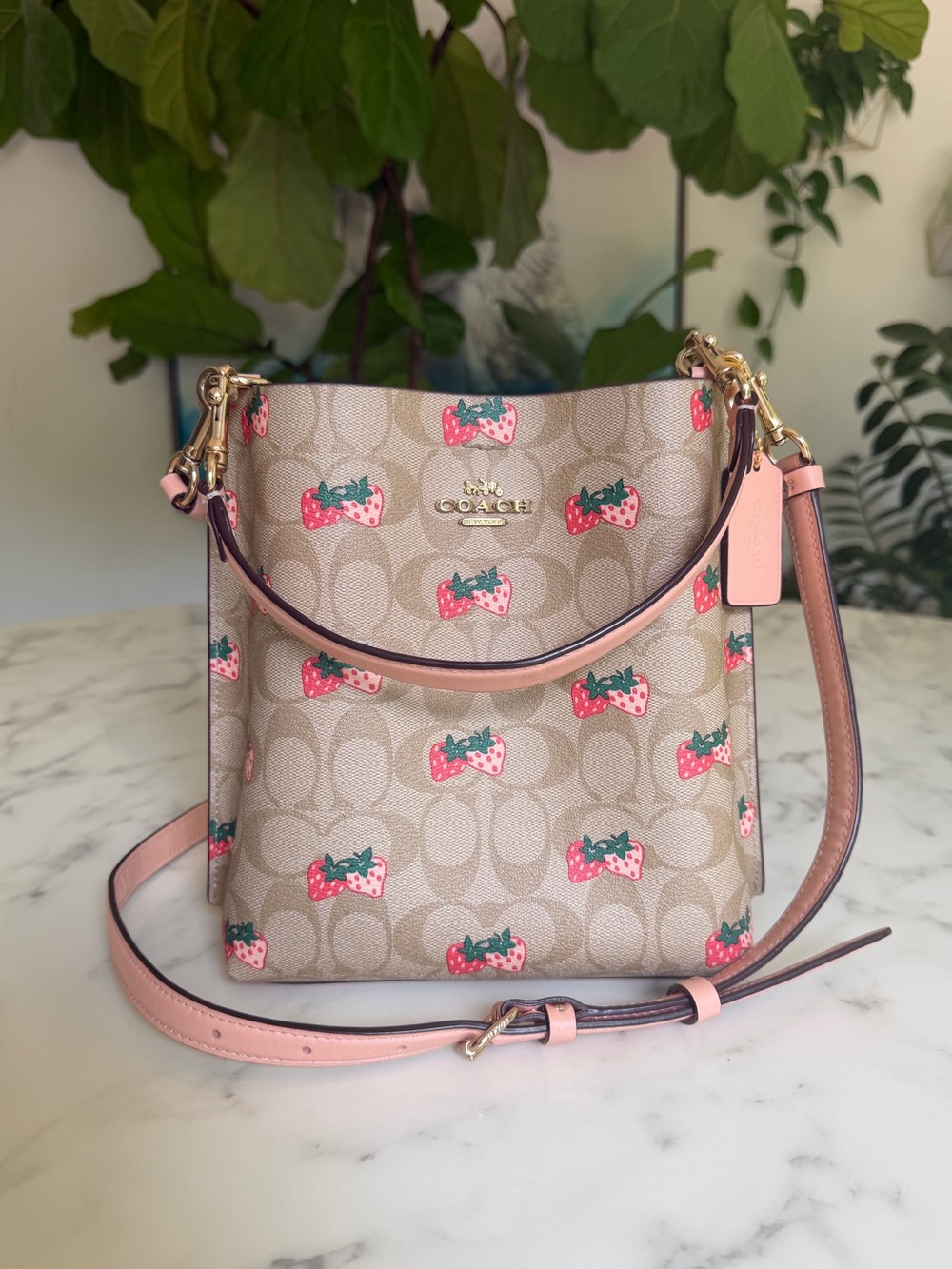 Coach Mollie Bucket Bag 22 In Signature Canvas With Strawberry Print CB602